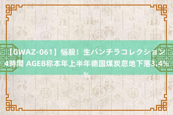 【GWAZ-061】悩殺！生パンチラコレクション 4時間 AGEB称本年上半年德国煤炭忽地下落3.4%