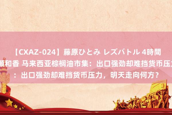 【CXAZ-024】藤原ひとみ レズバトル 4時間 feat.愛原さえ 早瀬和香 马来西亚棕榈油市集：出口强劲却难挡货币压力，明天走向何方？