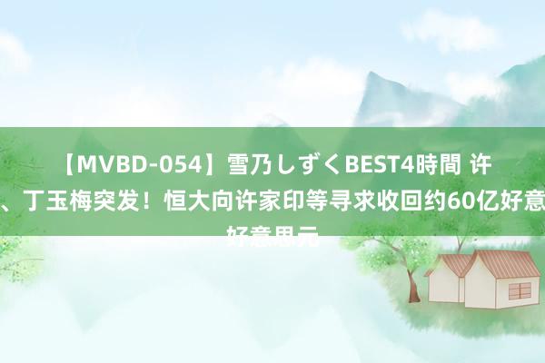 【MVBD-054】雪乃しずくBEST4時間 许家印、丁玉梅突发！恒大向许家印等寻求收回约60亿好意思元