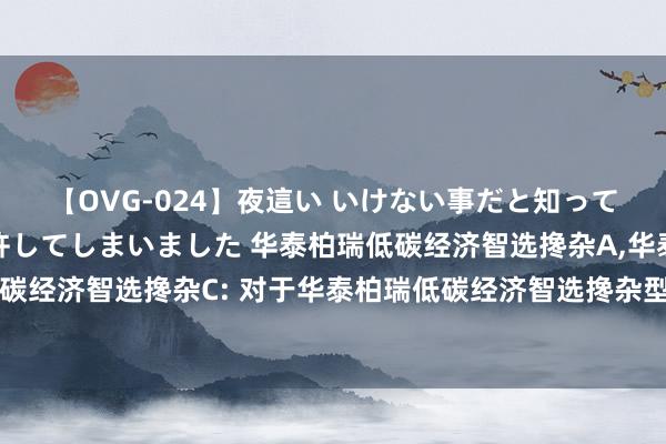 【OVG-024】夜這い いけない事だと知っていたけど生中出しまで許してしまいました 华泰柏瑞低碳经济智选搀杂A,华泰柏瑞低碳经济智选搀杂C: 对于华泰柏瑞低碳经济智选搀杂型证券投资基金基金司理变更的公告