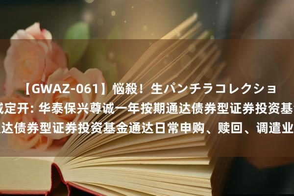 【GWAZ-061】悩殺！生パンチラコレクション 4時間 华泰保兴尊诚定开: 华泰保兴尊诚一年按期通达债券型证券投资基金通达日常申购、赎回、调遣业务的公告