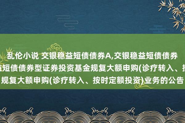 乱伦小说 交银稳益短债债券A,交银稳益短债债券C: 对于交银施罗德稳益短债债券型证券投资基金规复大额申购(诊疗转入、按时定额投资)业务的公告