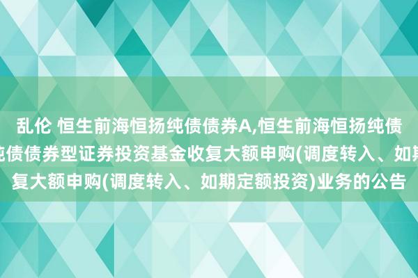 乱伦 恒生前海恒扬纯债债券A,恒生前海恒扬纯债债券C: 恒生前海恒扬纯债债券型证券投资基金收复大额申购(调度转入、如期定额投资)业务的公告