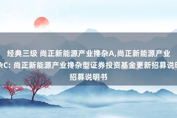 经典三级 尚正新能源产业搀杂A,尚正新能源产业搀杂C: 尚正新能源产业搀杂型证券投资基金更新招募说明书