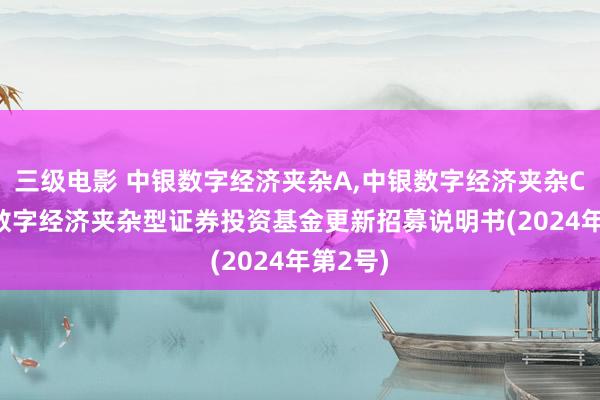 三级电影 中银数字经济夹杂A,中银数字经济夹杂C: 中银数字经济夹杂型证券投资基金更新招募说明书(2024年第2号)