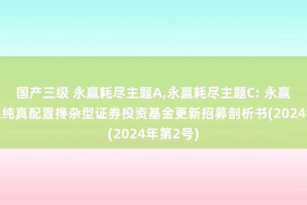 国产三级 永赢耗尽主题A,永赢耗尽主题C: 永赢耗尽主题纯真配置搀杂型证券投资基金更新招募剖析书(2024年第2号)