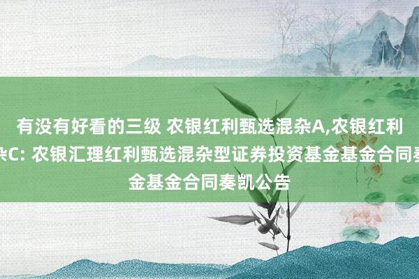 有没有好看的三级 农银红利甄选混杂A,农银红利甄选混杂C: 农银汇理红利甄选混杂型证券投资基金基金合同奏凯公告