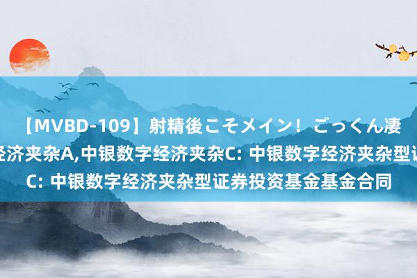 【MVBD-109】射精後こそメイン！ごっくん凄テク8時間 中银数字经济夹杂A,中银数字经济夹杂C: 中银数字经济夹杂型证券投资基金基金合同