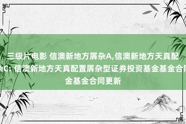 三级片电影 信澳新地方羼杂A,信澳新地方天真配置羼杂C: 信澳新地方天真配置羼杂型证券投资基金基金合同更新