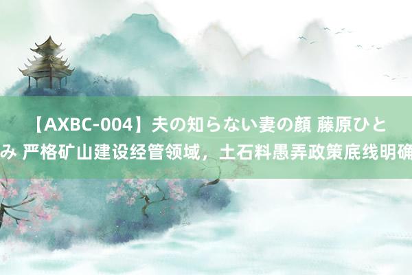 【AXBC-004】夫の知らない妻の顔 藤原ひとみ 严格矿山建设经管领域，土石料愚弄政策底线明确