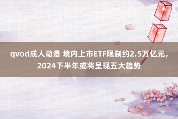 qvod成人动漫 境内上市ETF限制约2.5万亿元，2024下半年或将呈现五大趋势