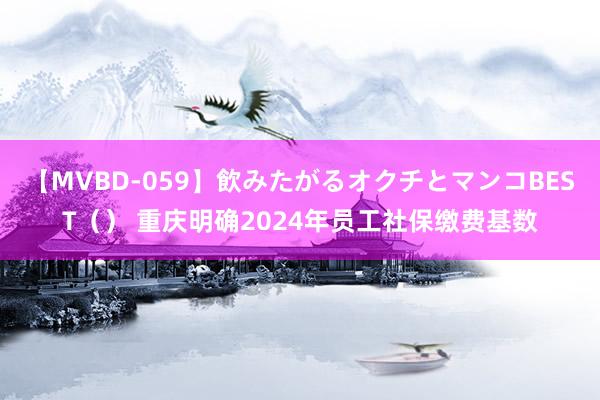 【MVBD-059】飲みたがるオクチとマンコBEST（） 重庆明确2024年员工社保缴费基数