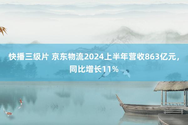 快播三级片 京东物流2024上半年营收863亿元，同比增长11%