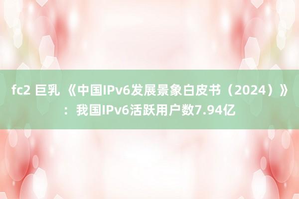 fc2 巨乳 《中国IPv6发展景象白皮书（2024）》：我国IPv6活跃用户数7.94亿