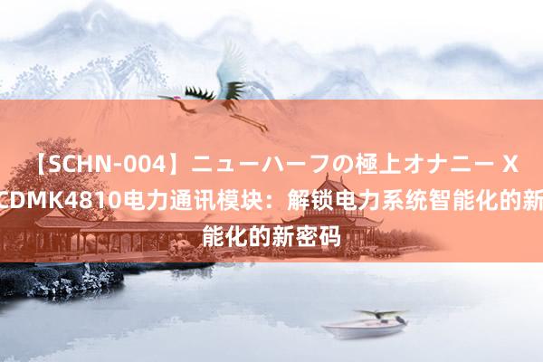 【SCHN-004】ニューハーフの極上オナニー XA0-CDMK4810电力通讯模块：解锁电力系统智能化的新密码