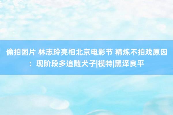 偷拍图片 林志玲亮相北京电影节 精炼不拍戏原因：现阶段多追随犬子|模特|黑泽良平