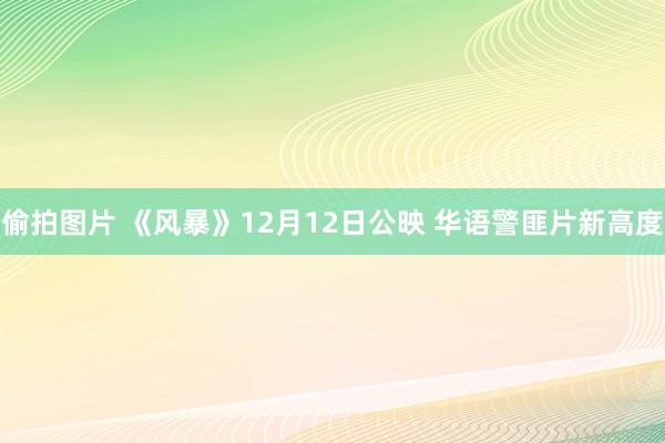 偷拍图片 《风暴》12月12日公映 华语警匪片新高度