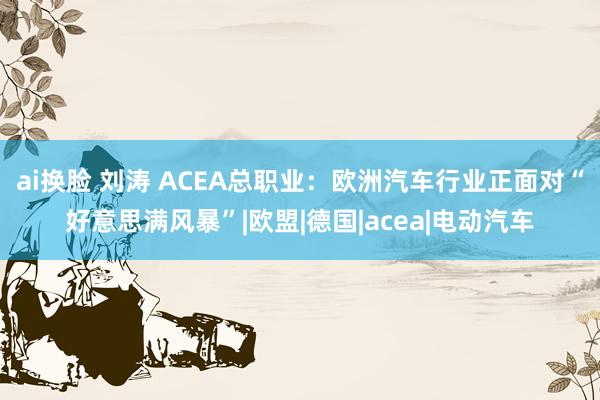 ai换脸 刘涛 ACEA总职业：欧洲汽车行业正面对“好意思满风暴”|欧盟|德国|acea|电动汽车